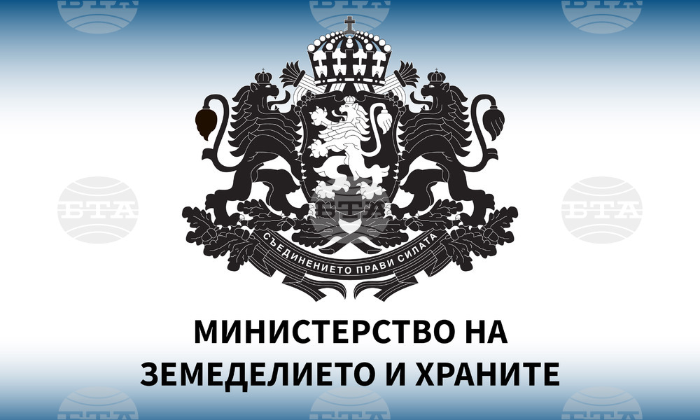 MZH logo