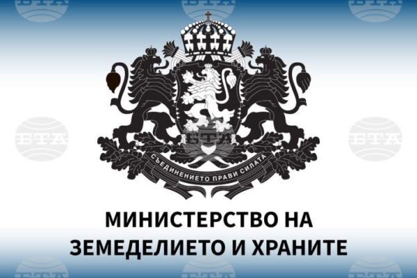 MZH logo