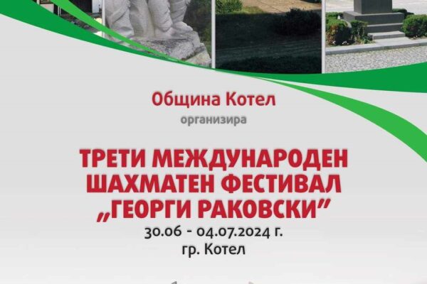 Плакат-шахматен фестивал