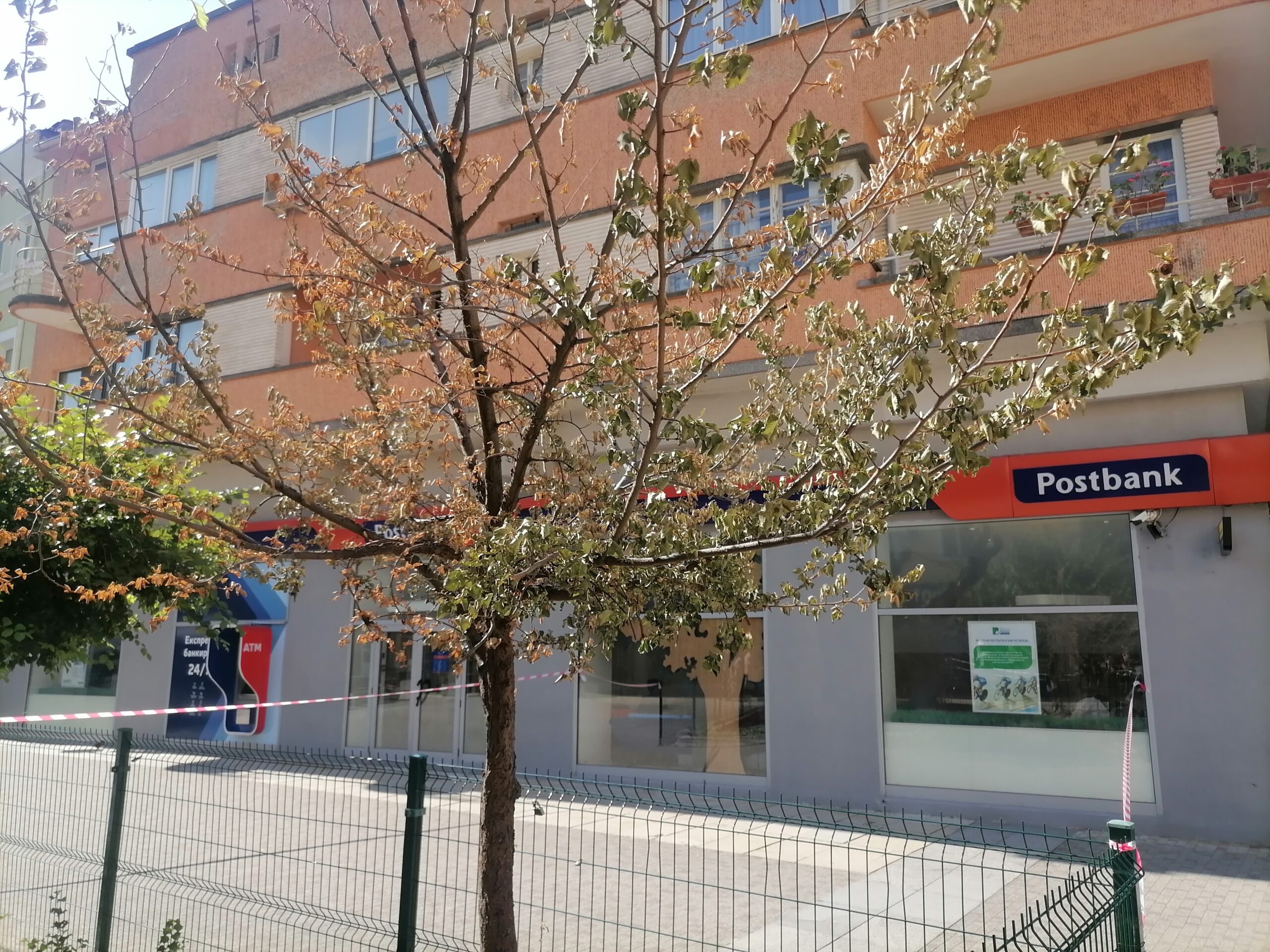 IMG 20250626 092732
