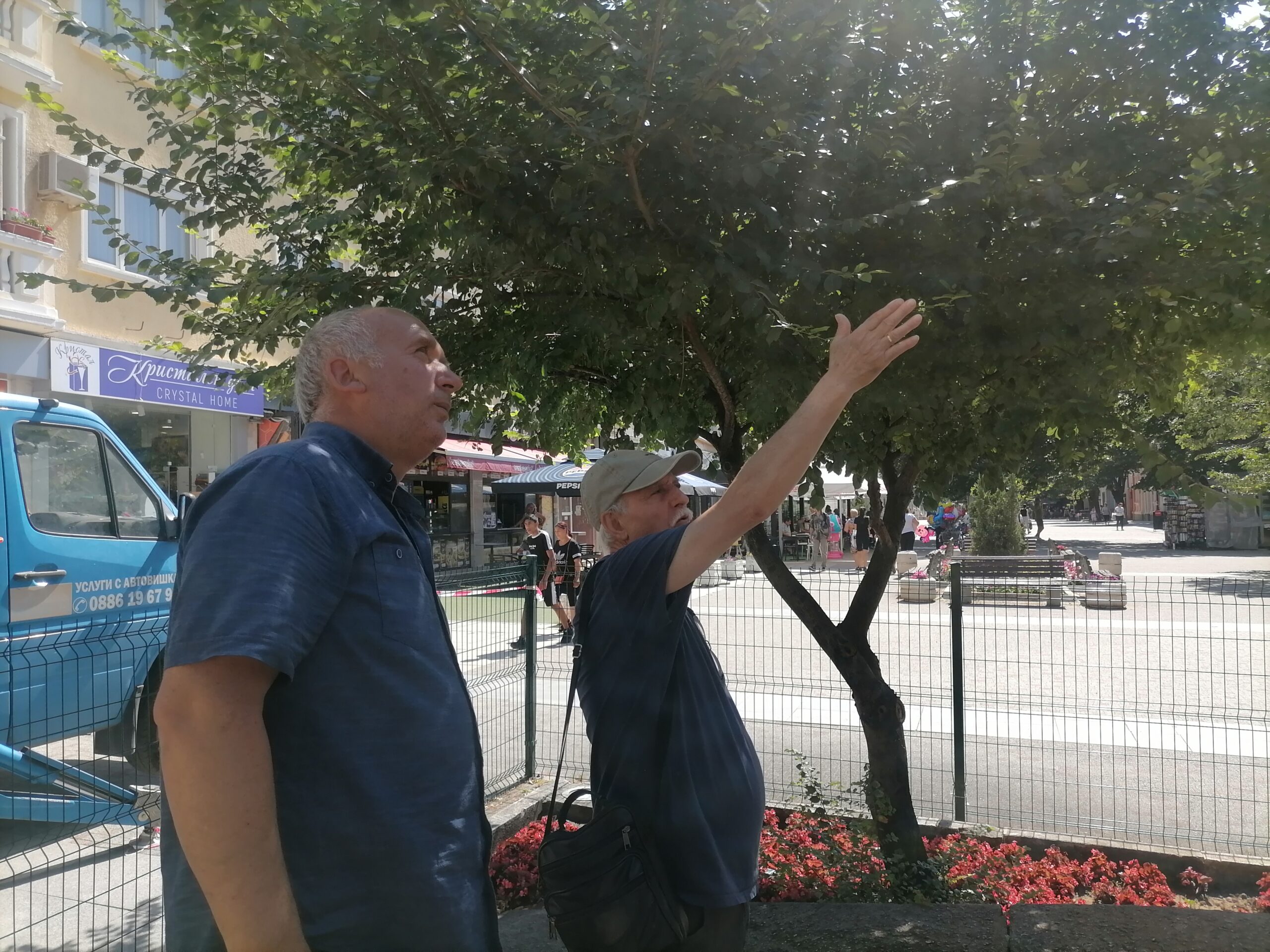 IMG 20250626 104153