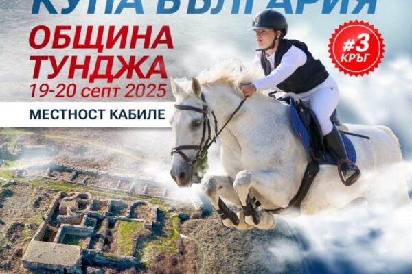 Турнир коне