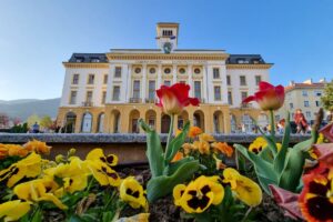 sliven-main